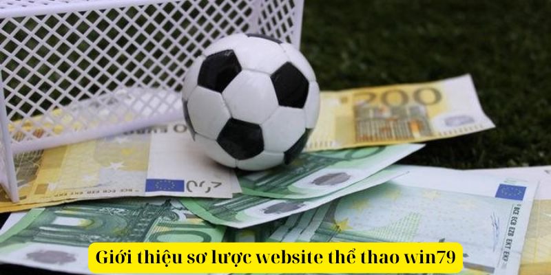 Giới thiệu sơ lược website thể thao win79