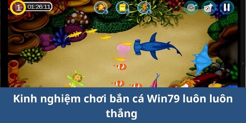 Kinh nghiệm chơi bắn cá Win79 luôn thắng từ cao thủ