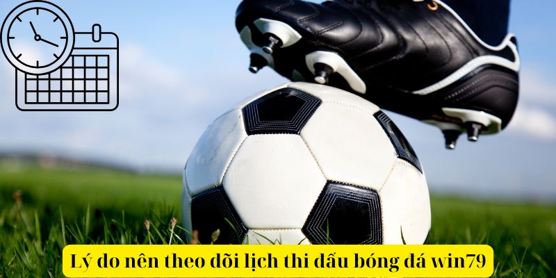 Lý do nên theo dõi lịch thi đấu bóng đá win79