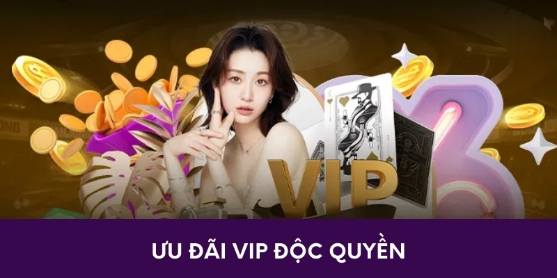 Ưu đãi VIP độc quyền